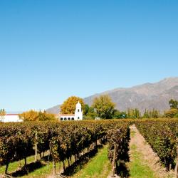 Cafayate Accommodation Dallas