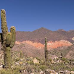 Jujuy Accommodation Dallas
