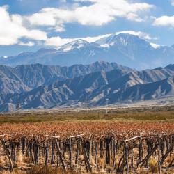 Mendoza Province Accommodation Dallas