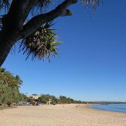 Noosa Accommodation Dallas