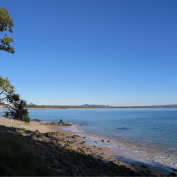 Sunshine Coast Accommodation Dallas