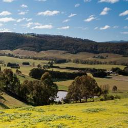 Victoria Accommodation Dallas