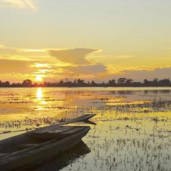 Pantanal Accommodation Dallas