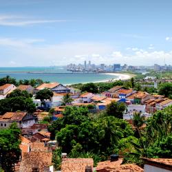 Recife Accommodation Dallas