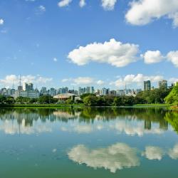 Sao Paulo Accommodation Dallas