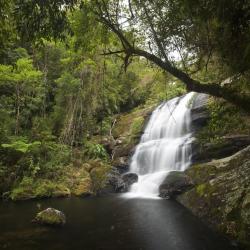 Serra da Bocaina National Park Accommodation Dallas
