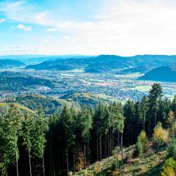 Black Forest Accommodation Dallas
