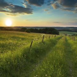 Eifel Accommodation Dallas