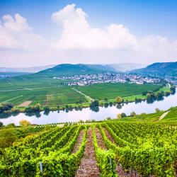 German Mosel Accommodation Dallas