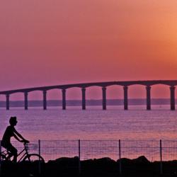 Island of Ré Accommodation Dallas