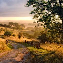Hertfordshire Accommodation Dallas