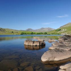 Snowdonia Accommodation Dallas