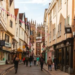 York Accommodation Dallas