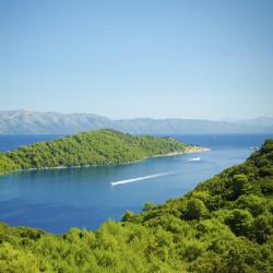 Mljet Island Accommodation Dallas