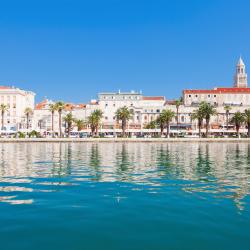 Split Accommodation Dallas