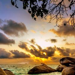 Bintan Accommodation Dallas