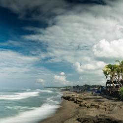 Canggu Accommodation Dallas