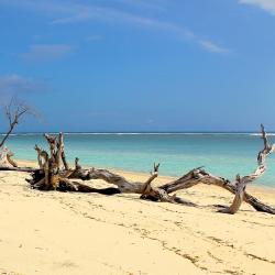 Gili Trawangan Accommodation Dallas
