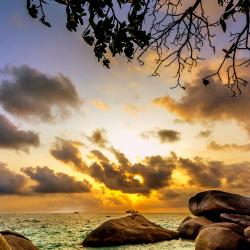 Pulau Bintan Accommodation Dallas
