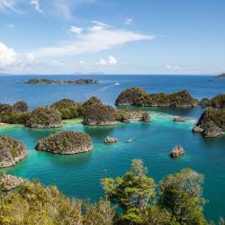 Raja Ampat Accommodation Dallas