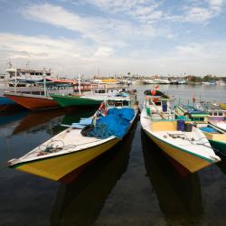 South Sulawesi Accommodation Dallas