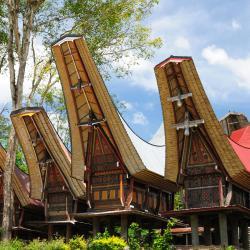 Sulawesi Accommodation Dallas