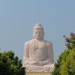 Bihar Accommodation Dallas