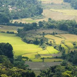 Coorg Accommodation Dallas