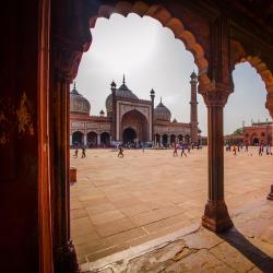 Delhi NCR Accommodation Dallas