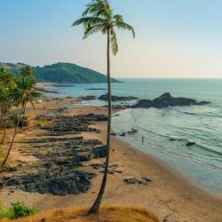 North Goa Accommodation Dallas