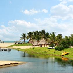 Pondicherry Accommodation Dallas