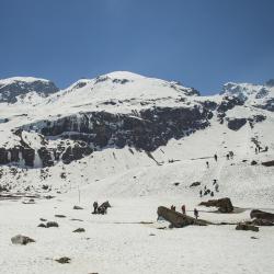 Sikkim Accommodation Dallas