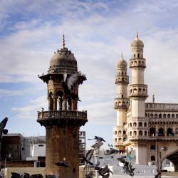 Telangana Accommodation Dallas