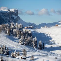 Alta Badia Accommodation Dallas