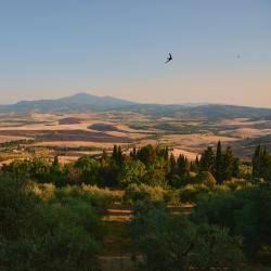 Tuscany Accommodation Dallas