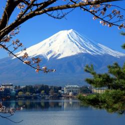 Fujikawaguchiko Accommodation Dallas