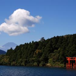 Hakone Accommodation Dallas