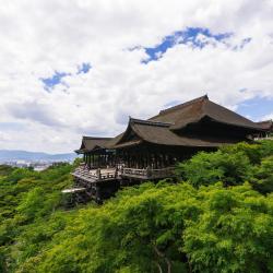 Kyoto Accommodation Dallas