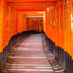 Kyoto Accommodation Dallas