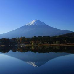 Mount Fuji Accommodation Dallas