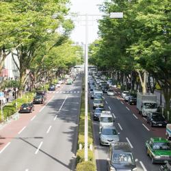Omotesando, Tokyo Accommodation Dallas