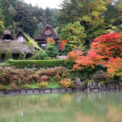 Takayama Accommodation Dallas