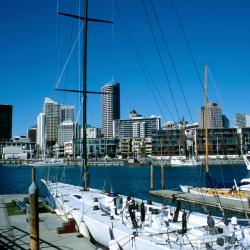 Auckland Accommodation Dallas