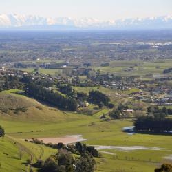 Canterbury Accommodation Dallas