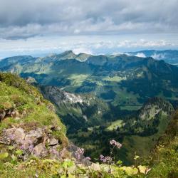 Coromandel Peninsula Accommodation Dallas