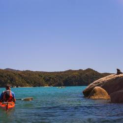 Golden Bay Accommodation Dallas