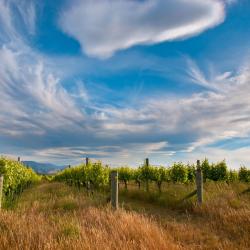 Marlborough Accommodation Dallas