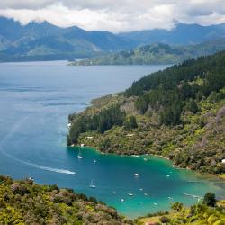 Marlborough Sounds Accommodation Dallas