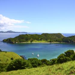 North Island Accommodation Dallas