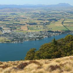 Te Anau Accommodation Dallas